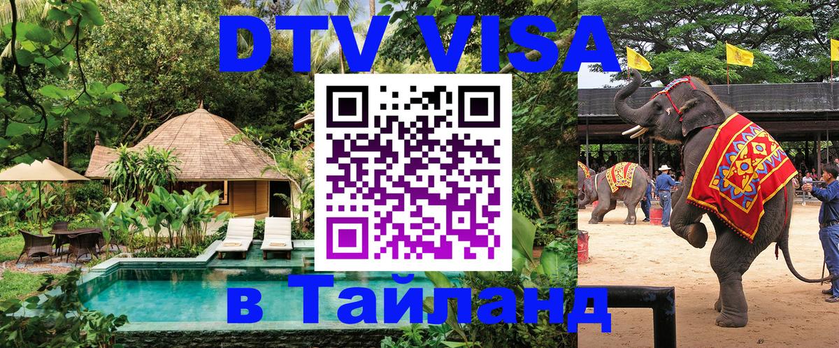 Оформление DTV визы под ключ: стоимость и тарифы, только загранпаспорт - 18.11.2025 